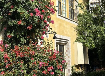 PALAZZO SOPHIE 511