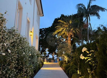 PERSEPHONE, Bellevue Hill ENTRANCE 11