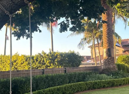 PERSEPHONE, Bellevue Hill GARDENS 20