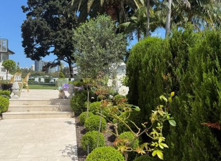 PERSEPHONE, Bellevue Hill GARDENS 29