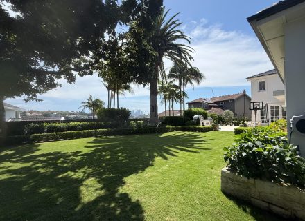 garden established backyard