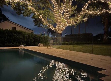 PERSEPHONE, Bellevue Hill GARDENS 48