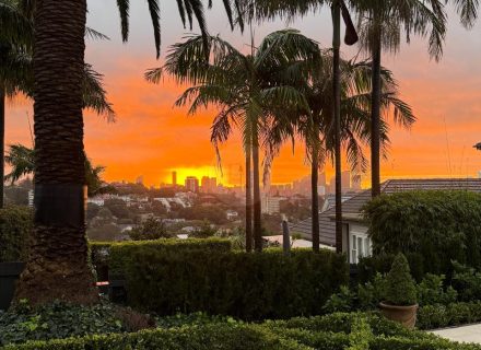 PERSEPHONE, Bellevue Hill SUNSET GARDENS 50