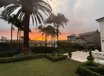 PERSEPHONE, Bellevue Hill SUNSET GARDENS 51