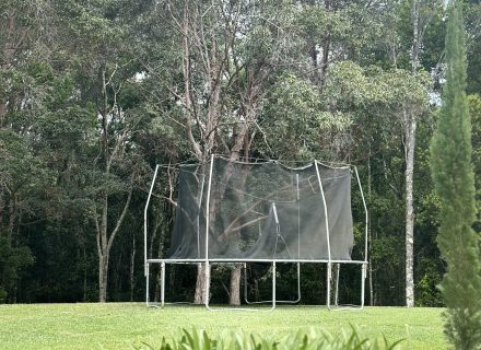 Pastis, Alstonville