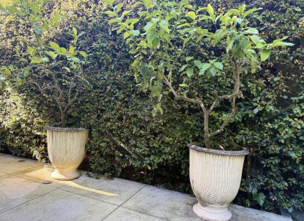 PORTOFINO28 OUTDOORS