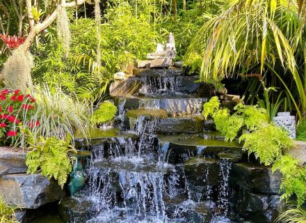 Paradoes-Galston-4.jpeg