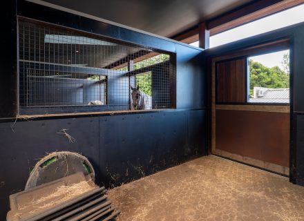 Motif Group | Stables