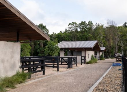 Motif Group | Stables