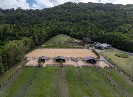 Motif Group | Stables