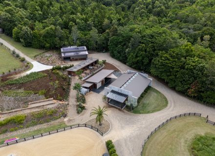 garden established driveway