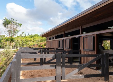 Motif Group | Stables
