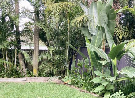 garden established