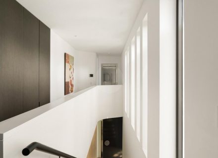 Parsons, Mosman NEW 2025-54