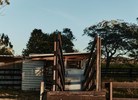 Pasture Studio, Mooball 16
