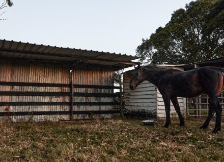 Pasture Studio, Mooball 3