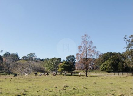 Pasture Studio, Mooball 30