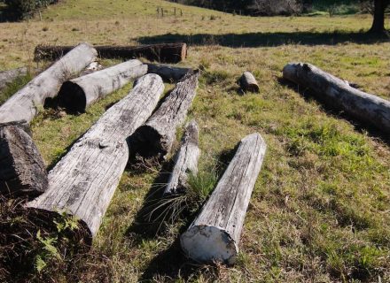 Pasture Studio, Mooball 31