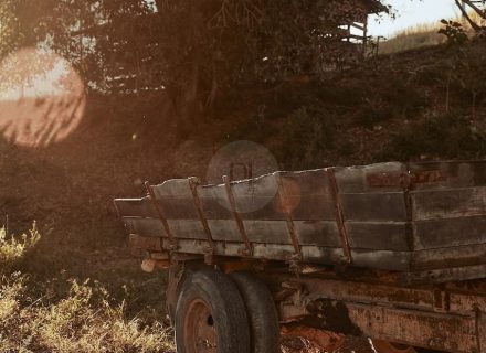 Pasture Studio, Mooball 49