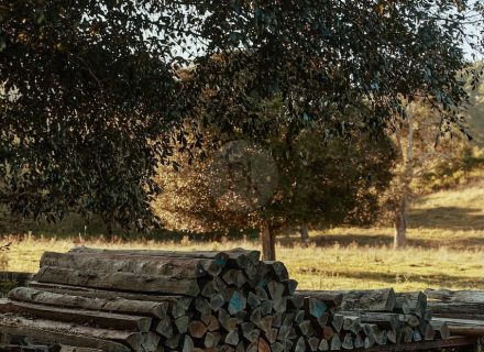 Pasture Studio, Mooball 53