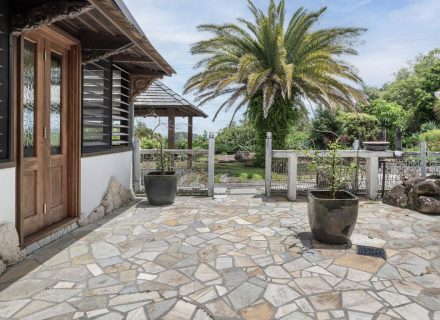 outdoor area garden established