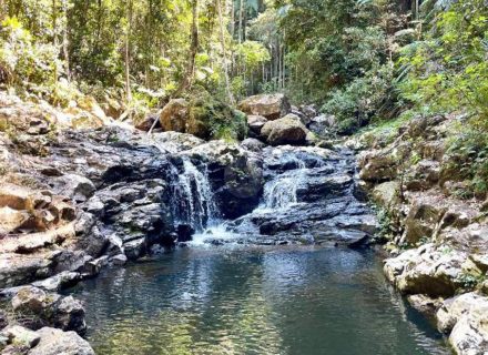 Peacekeeper Estate, Dorroughby-34