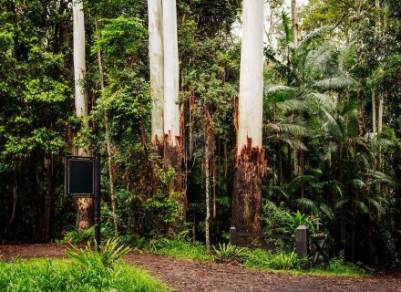 Peacekeeper Estate, Dorroughby-79