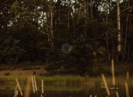 Peacekeeper Estate, Dorroughby-80