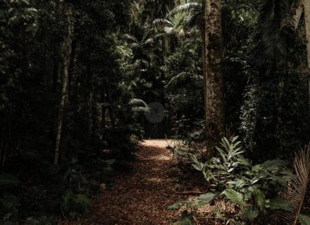 Peacekeeper Estate, Dorroughby-81