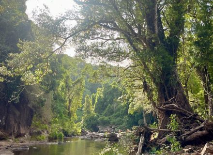 Peacekeeper Estate, Dorroughby-82