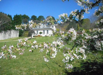 Peak Estate, Wentworth Falls-34