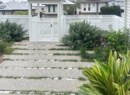 Pedestals, Bulimba-25