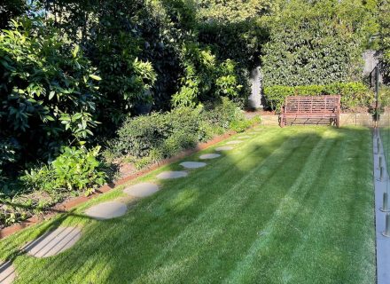 Peppercorn, Surrey Hills_36