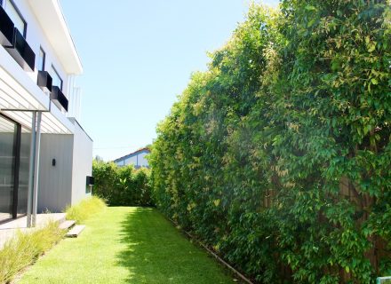 backyard garden established