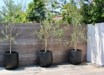 Periscope, Hamptons East-27