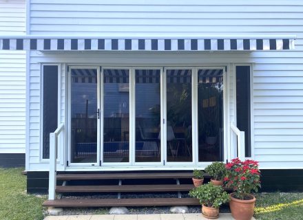 Petunia, Sandgate 10