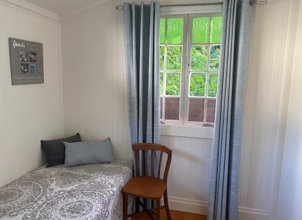 Petunia, Sandgate 8