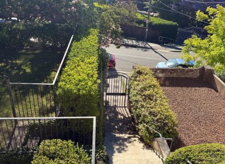 Portofino, Bellevue Hill-18