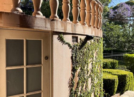 Portofino, Bellevue Hill-21