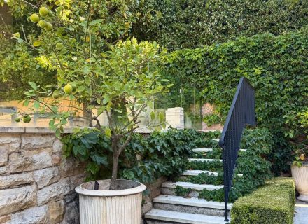 Portofino, Bellevue Hill-32