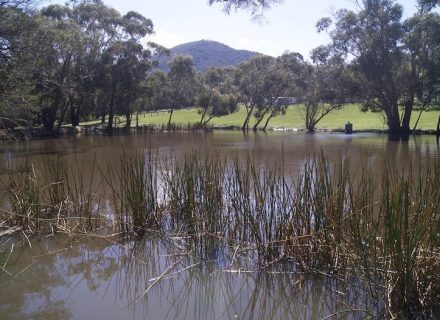 Powerhouse-Mount-Macedon-at-12.10.44.jpeg