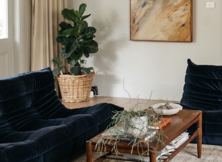 Protea House, Beaumaris-17