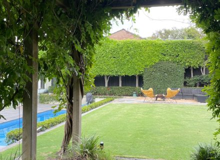backyard garden established