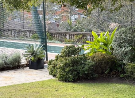 Queens Gambit, Randwick_10