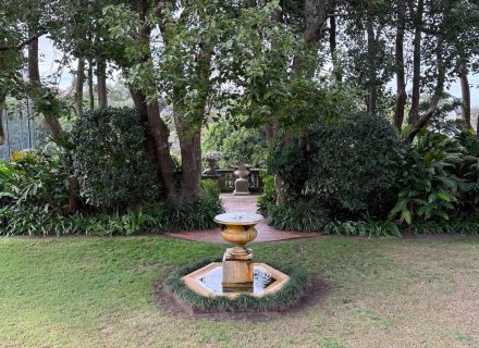 Queens Gambit, Randwick_34
