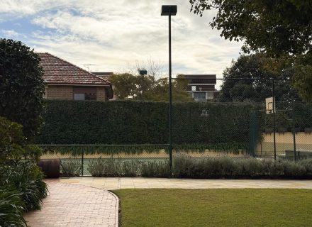 Queens Gambit, Randwick_54
