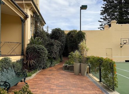Queens Gambit, Randwick_57