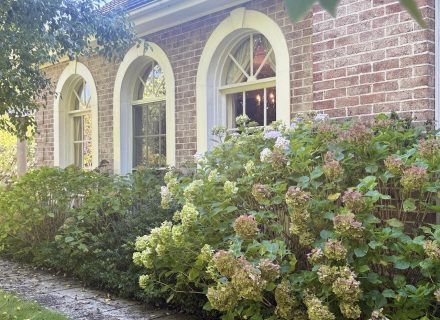 ROSEMOUNT - FACADE10