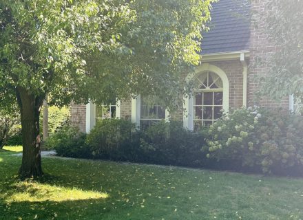 ROSEMOUNT - GARDENS10