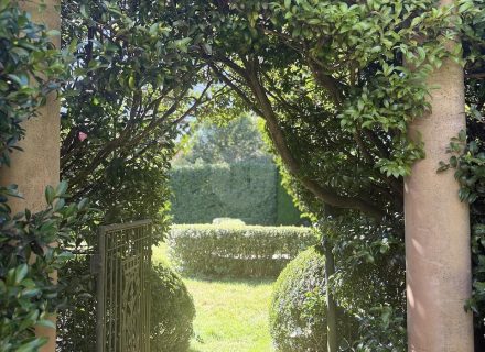 ROSEMOUNT - GARDENS5